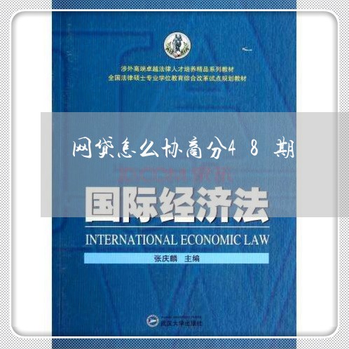 网贷怎么协商分48期/2023081301926