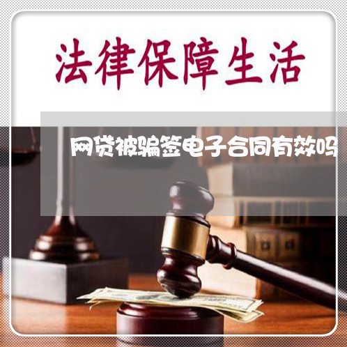 网贷被骗签电子合同有效吗/2023032783827