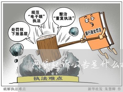 网贷起诉公告是什么样子的/2023111491795