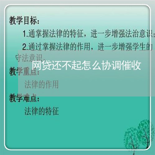 网贷还不起怎么协调催收/2023102443726