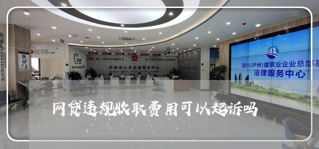 网贷违规收取费用可以起诉吗/2023111430482