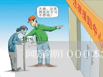 网贷逾期1000本金/2023110219504