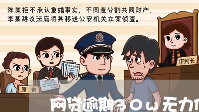 网贷逾期30w无力偿还怎么处理/2023111739369