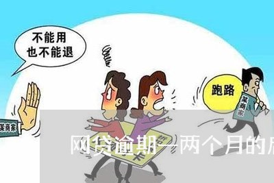 网贷逾期一两个月的后果/2023111767960