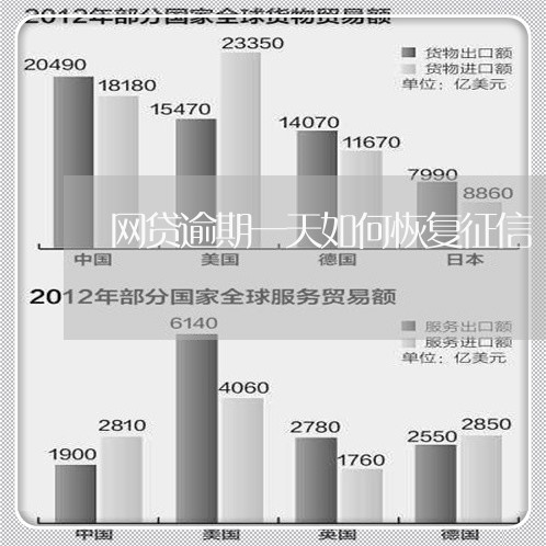 网贷逾期一天如何恢复征信/2023111786250