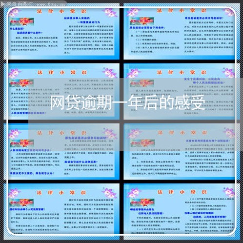 网贷逾期一年后的感受/2023111764039