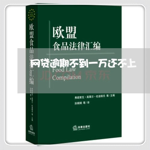 网贷逾期不到一万还不上/2023110136203