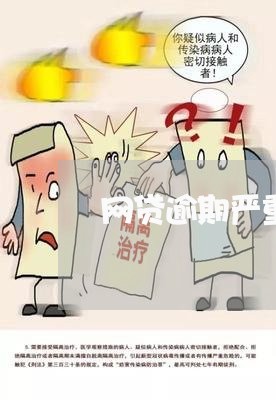 网贷逾期严重无力偿还/2023110285068