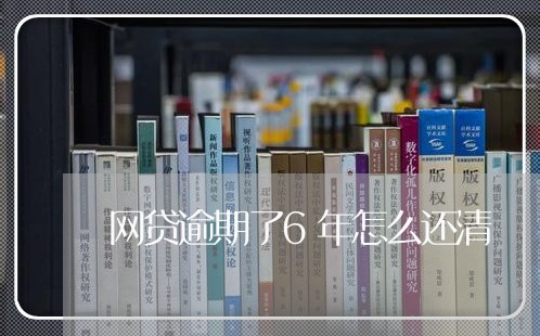 网贷逾期了6年怎么还清/2023110640714