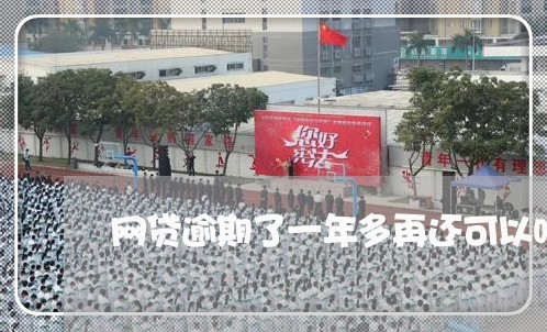 网贷逾期了一年多再还可以吗/2023112300604