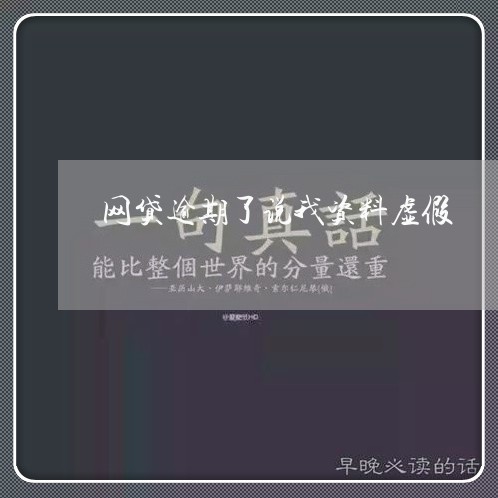 网贷逾期了说我资料虚假/2023110646058