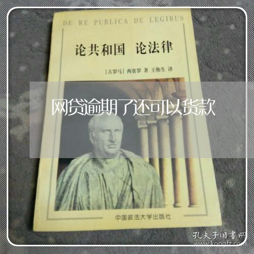 网贷逾期了还可以货款/2023090770516