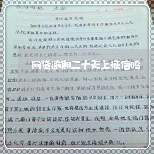 网贷逾期二十天上征信吗/2023111731523