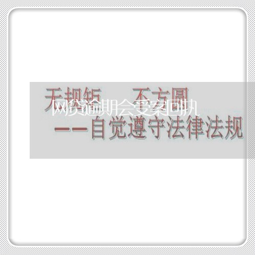 网贷逾期会受案回执/2023110168394