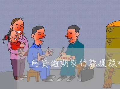 网贷逾期农行能提额吗/2023110859475