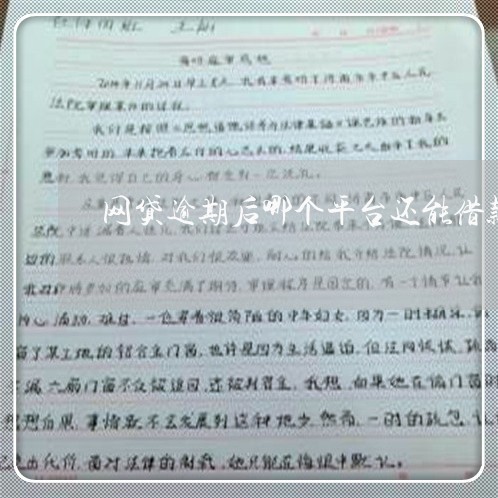 网贷逾期后哪个平台还能借款啊/2023111627540