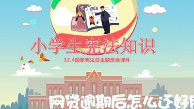 网贷逾期后怎么还好用/2023110170783