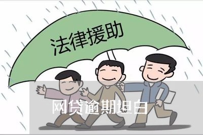 网贷逾期坦白/2023081284938