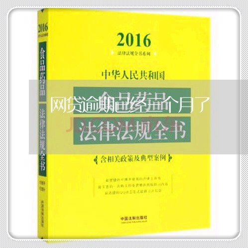 网贷逾期已经三个月了/2023111678069