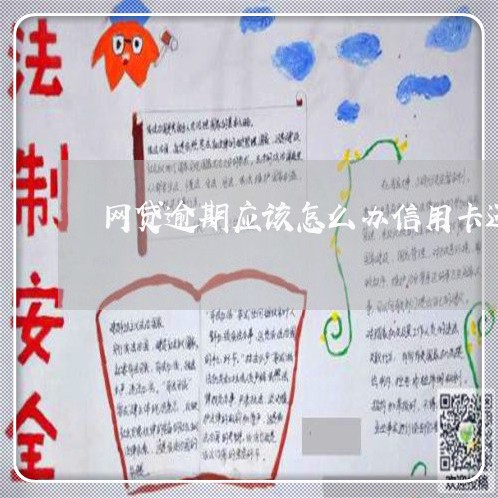 网贷逾期应该怎么办信用卡还款/2023061406251