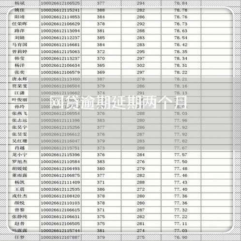 网贷逾期延期两个月/2023110848592