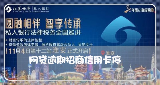 网贷逾期招商信用卡停/2023120683805