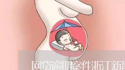 网贷逾期案件浙江新昌/2023102516249