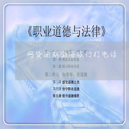 网贷逾期渤海银行打电话/2023110181804