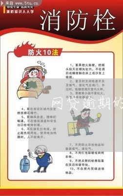 网贷逾期的人可以做担保吗/2023110644128