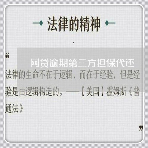 网贷逾期第三方担保代还/2023102427179