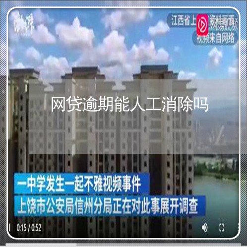 网贷逾期能人工消除吗/2023103161616