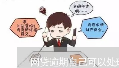 网贷逾期自己可以处理吗/2023110120482