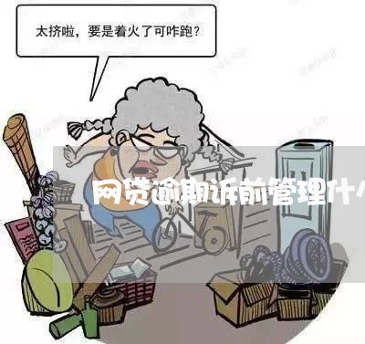 网贷逾期诉前管理什么意思/2023110871615