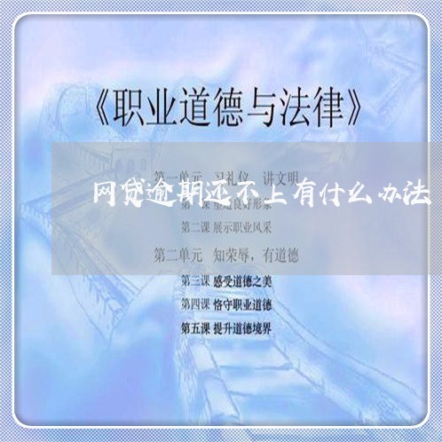 网贷逾期还不上有什么办法/2023110245160