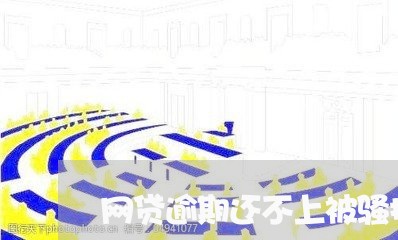 网贷逾期还不上被骚扰咋办/2023110720481