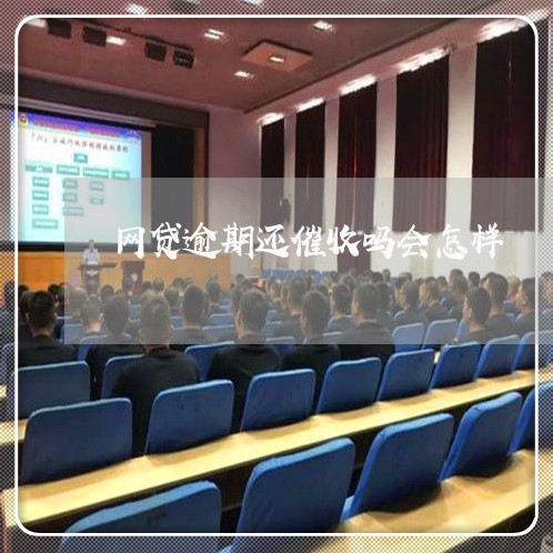 网贷逾期还催收吗会怎样/2023100885230