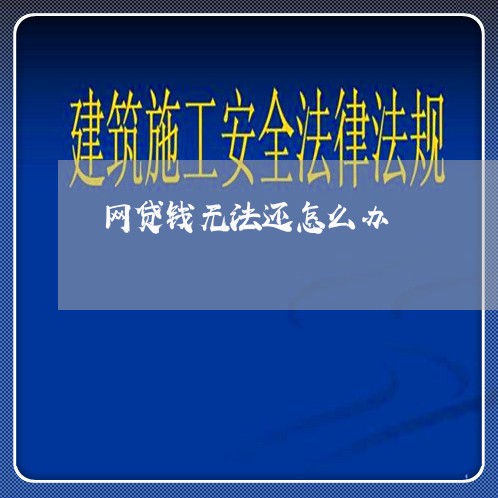 网贷钱无法还怎么办/2023111582784