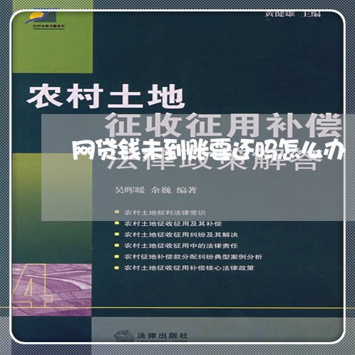 网贷钱未到账要还吗怎么办/2023112362816