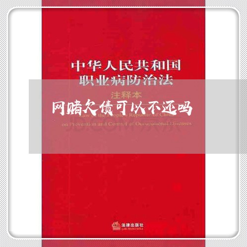 网赌欠债可以不还吗/2023111752493