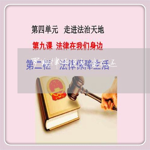 罗翔律师说欠债不还/2023102583835