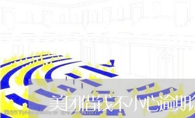 美团借钱不小心逾期怎么办/2023052081815