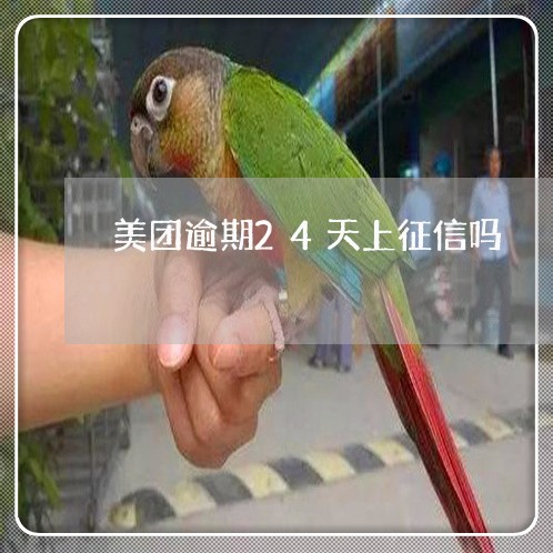 美团逾期24天上征信吗/2023062205716