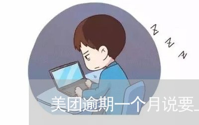 美团逾期一个月说要上门/2023062232483