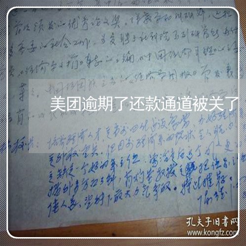 美团逾期了还款通道被关了/2023061549381