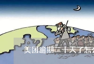 美团逾期二十天了怎么办/2023062241471