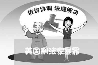 美国刑法家暴罪/2023090828359