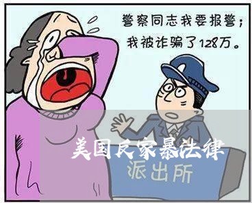 美国反家暴法律/2023121873704