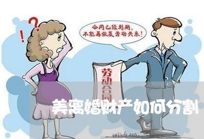 美离婚财产如何分割/2023110698239