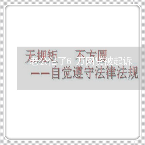 老公借了6万网贷被起诉/2023110921716