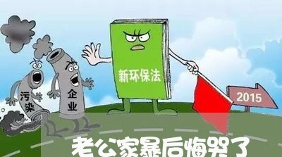 老公家暴后悔哭了/2023101365037